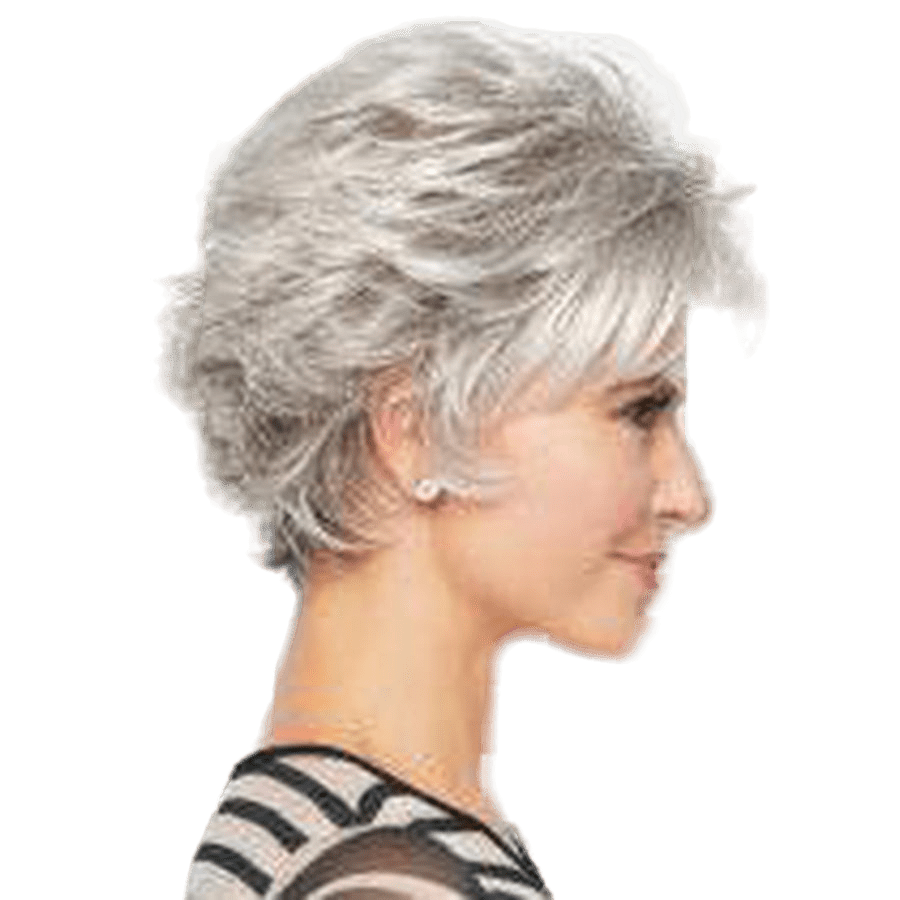 VOLTAGE - Wig  by Raquel Welch