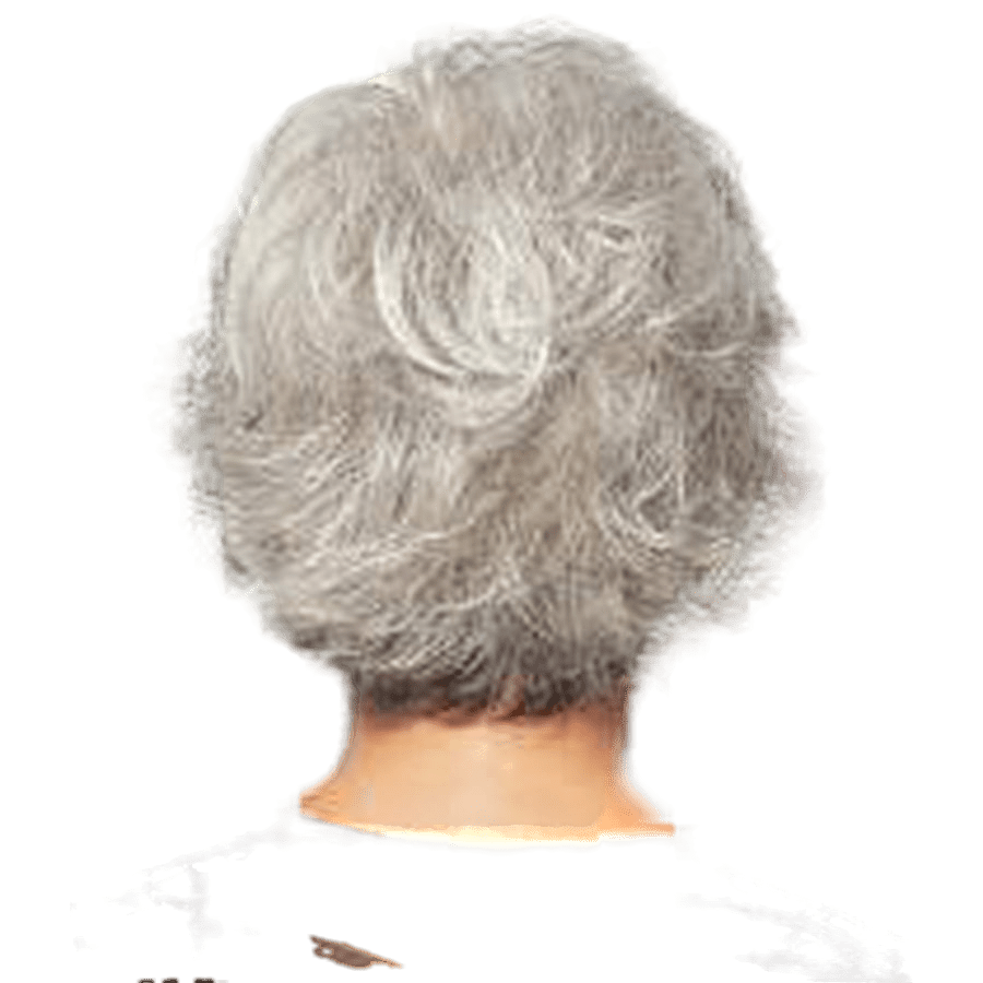 VOLTAGE - Wig  by Raquel Welch