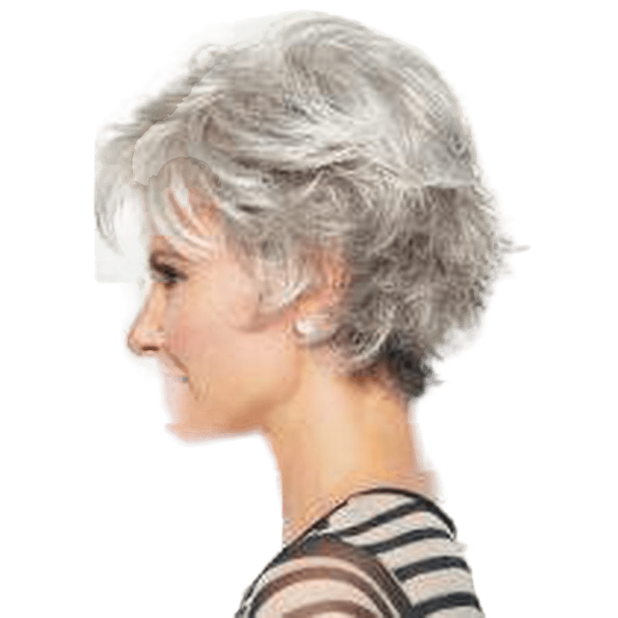 VOLTAGE - Wig  by Raquel Welch