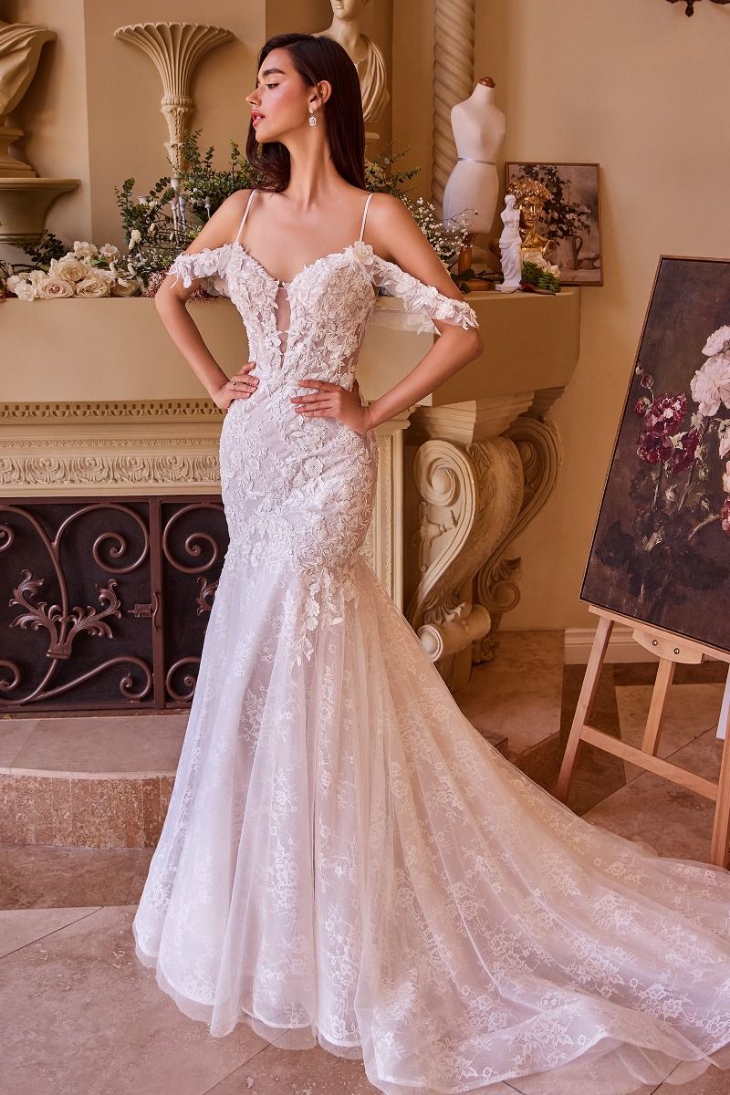 Romantic Off-Shoulder Lace Mermaid Wedding Gown with Tulle Train