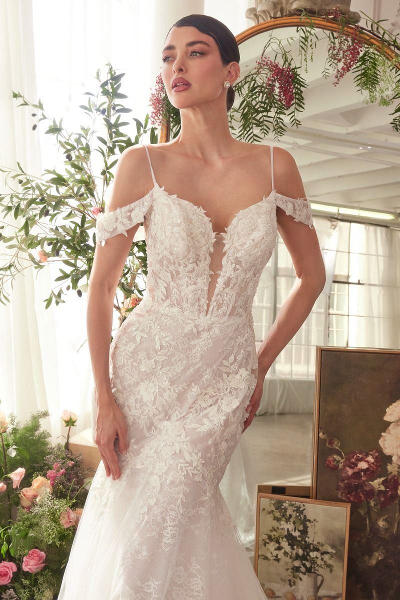 Romantic Off-Shoulder Lace Mermaid Wedding Gown with Tulle Train