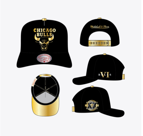 Chicago Bulls - NBA Core VI Pro Snapback Hat