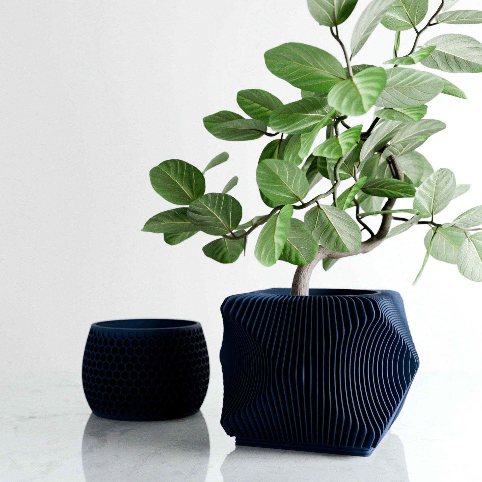 Xenova Planter-4