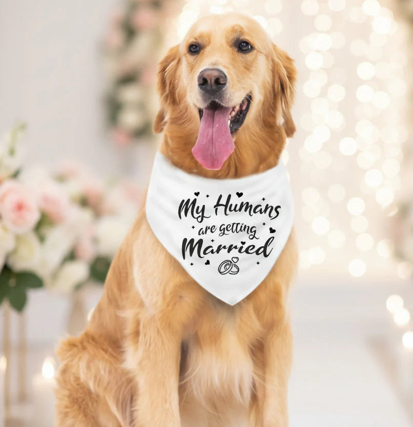 Wedding Dog Scarf