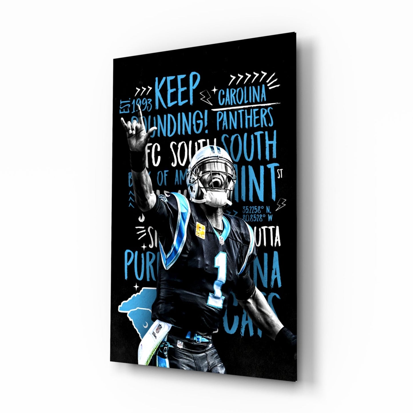 Cam Newton Glass Wall Art
