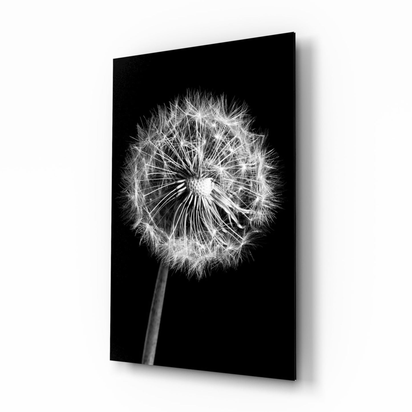 Dandelion Glass Wall Art