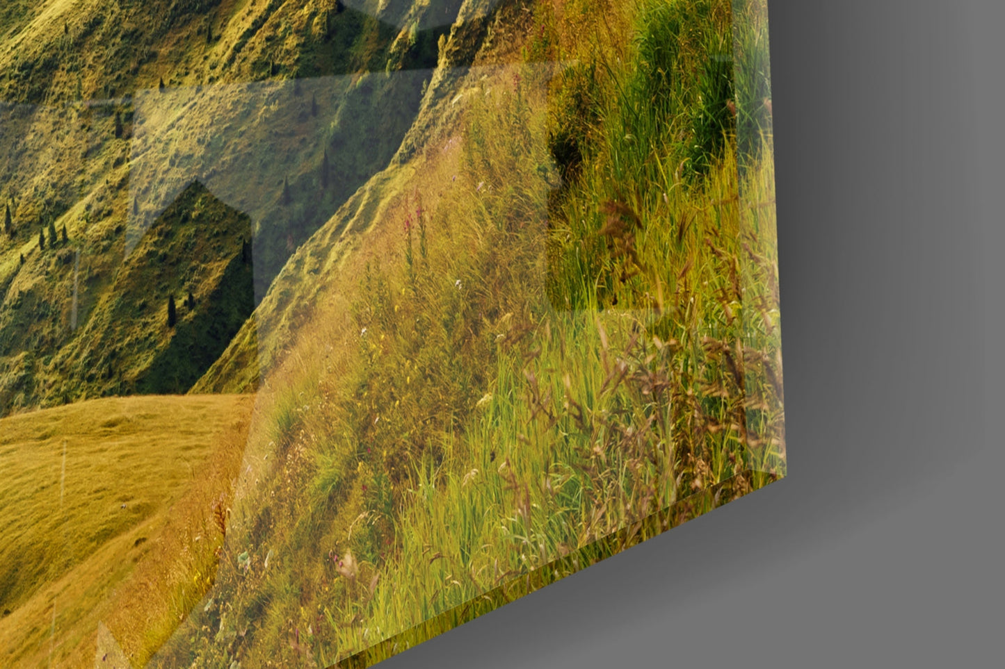 Mountain View Glass Wall Art