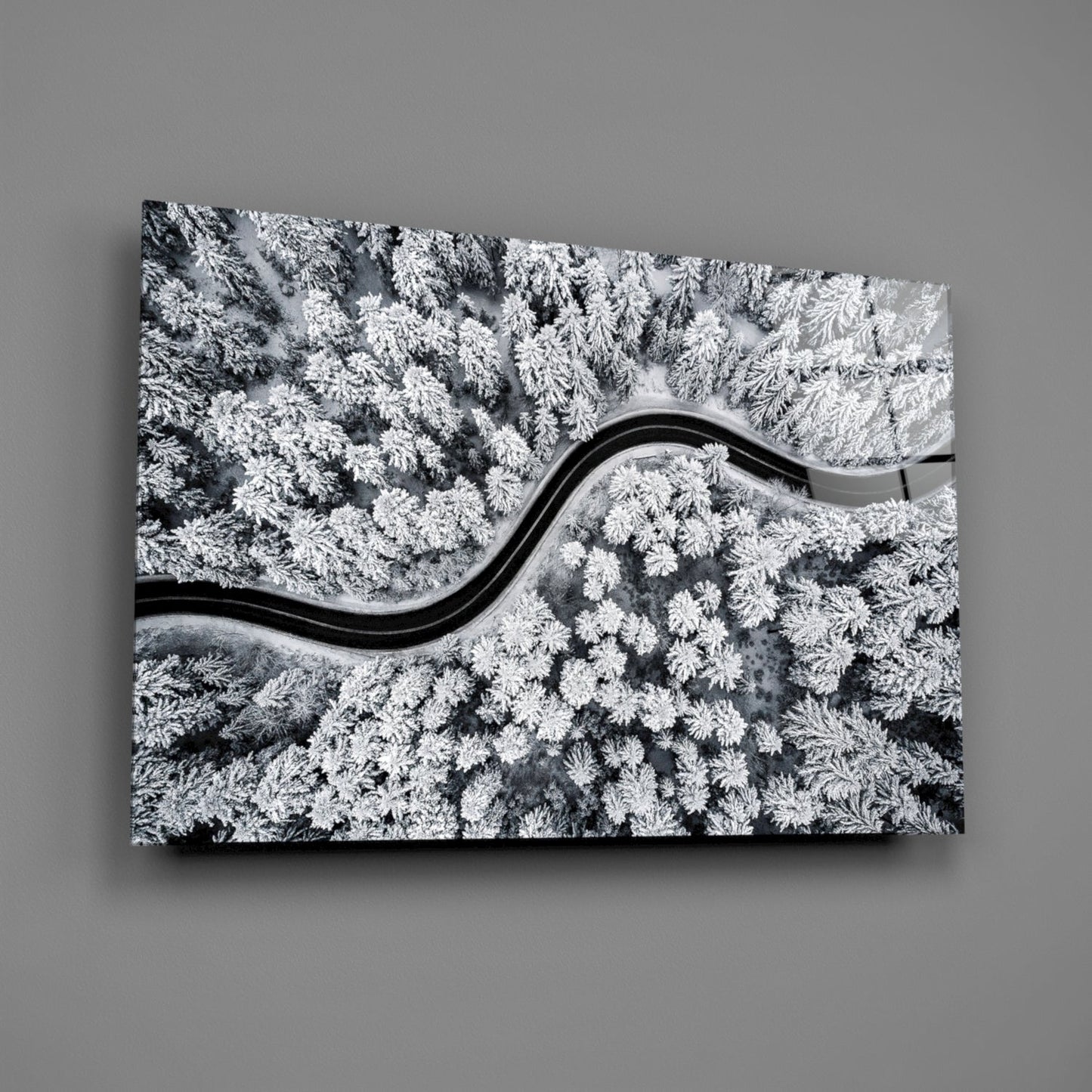 Forest Landscape Glass Wall Art