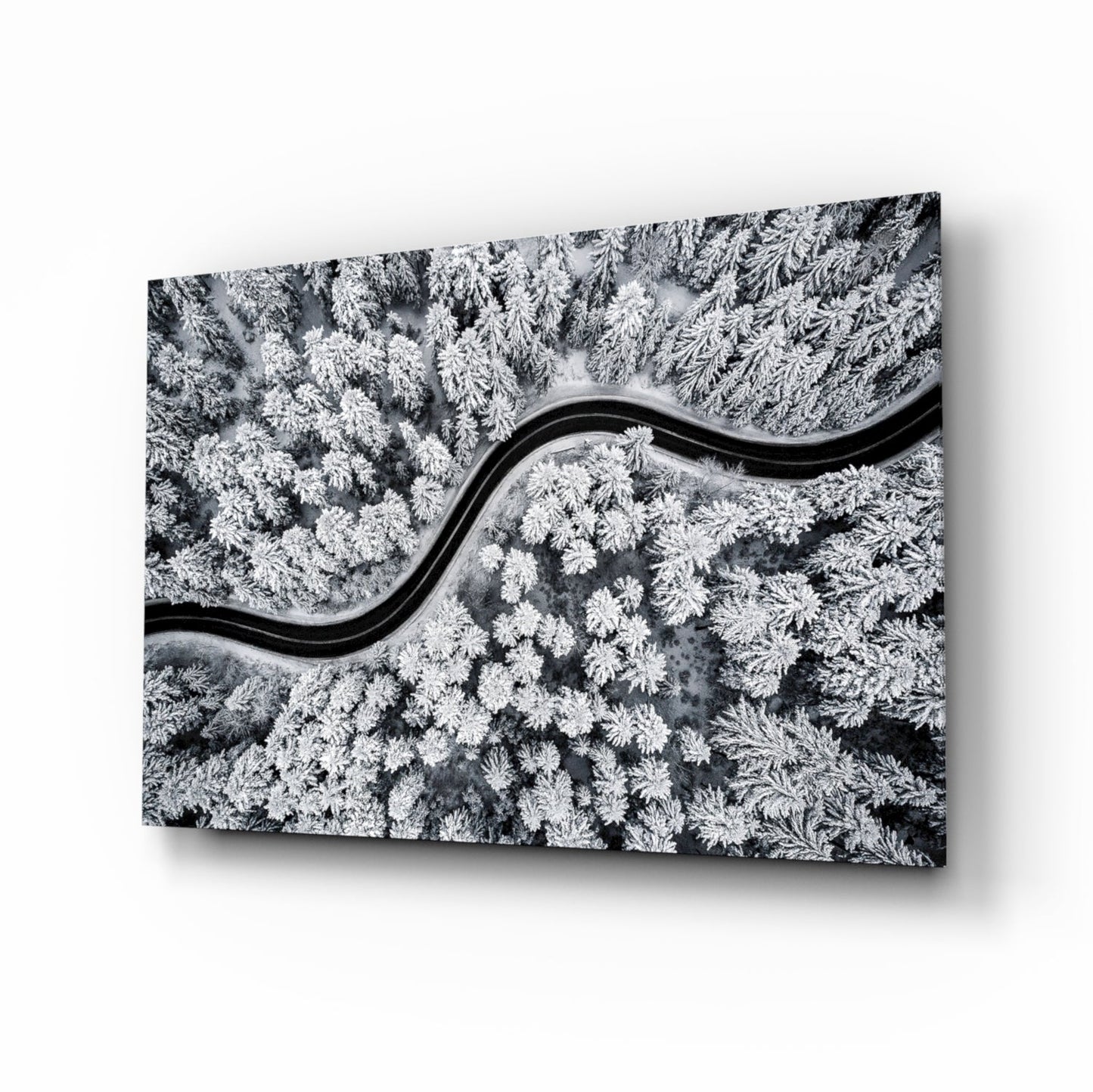 Forest Landscape Glass Wall Art