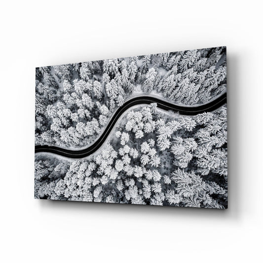 Forest Landscape Glass Wall Art