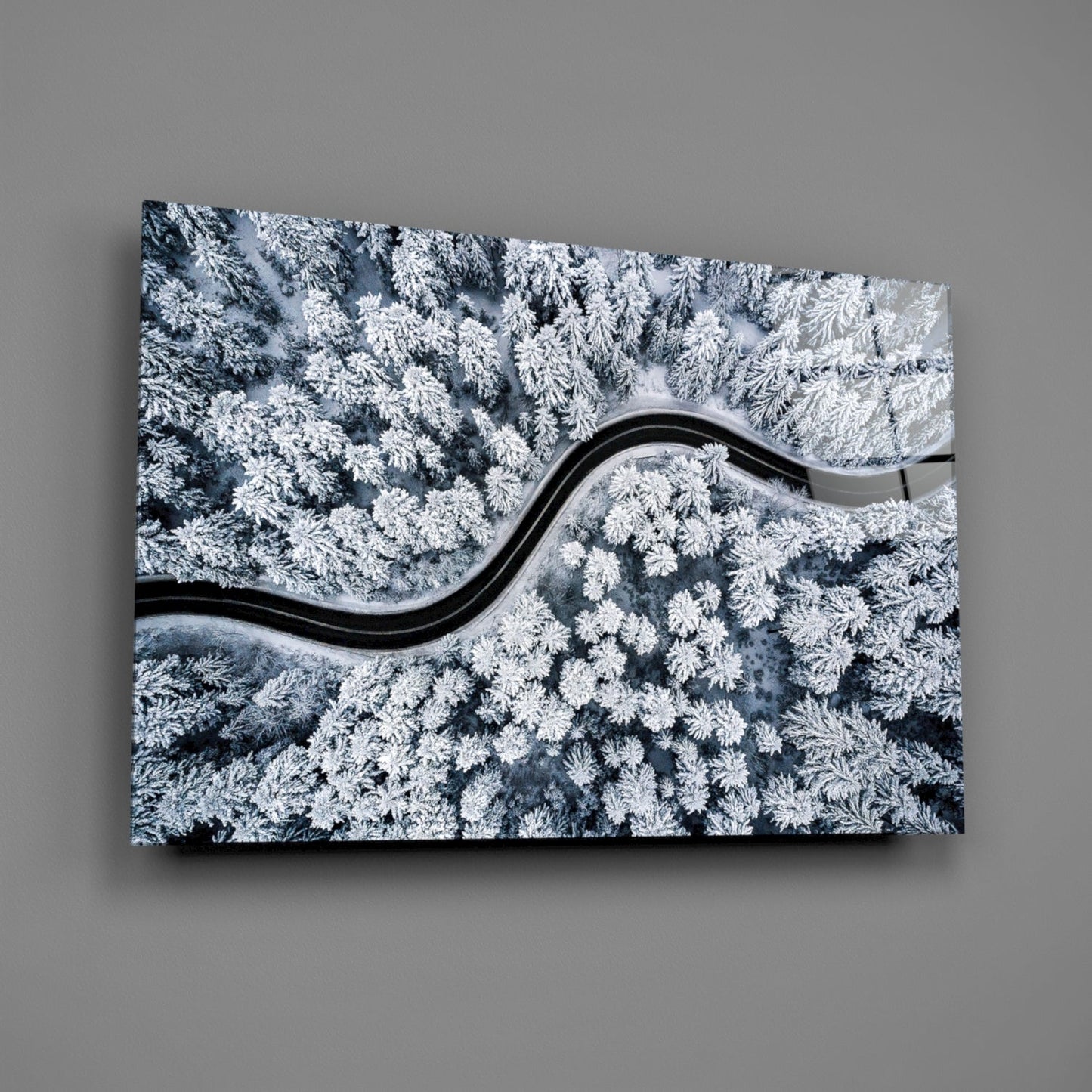 Forest Landscape Glass Wall Art