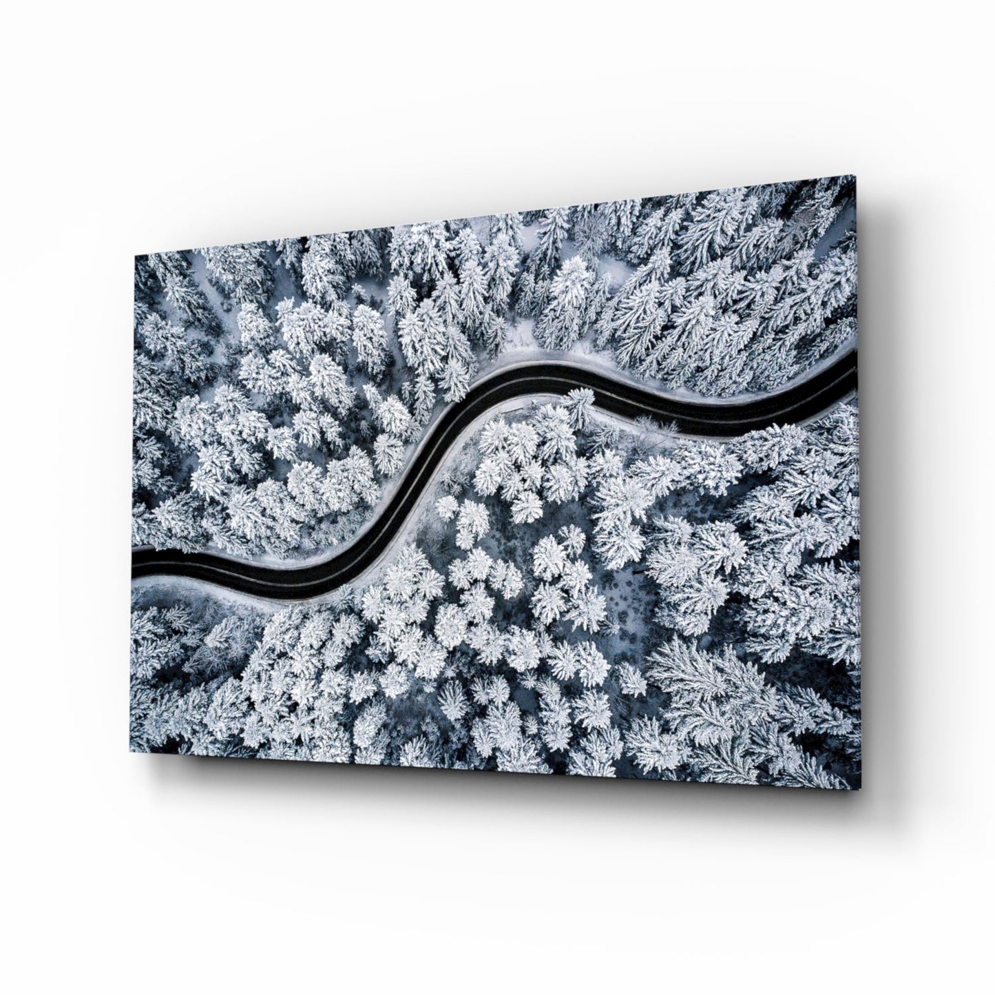 Forest Landscape Glass Wall Art