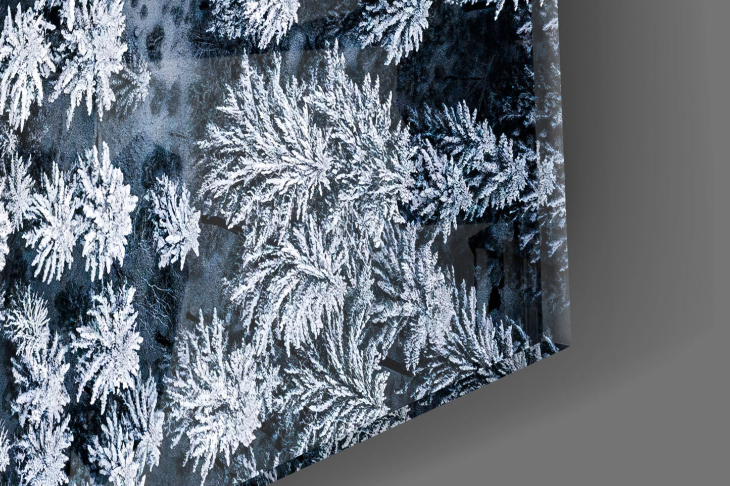 Forest Landscape Glass Wall Art