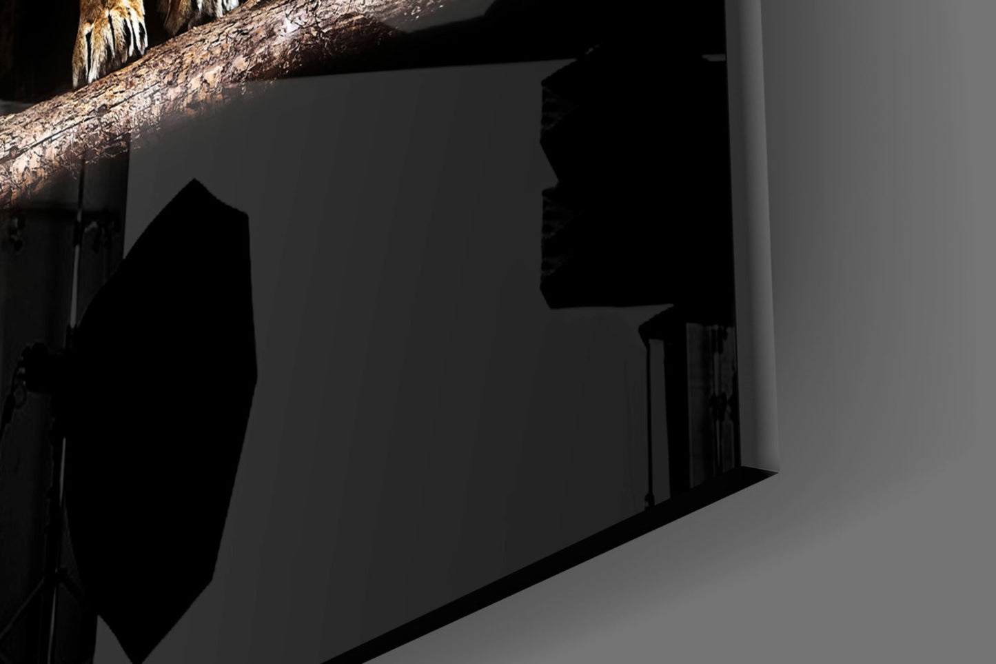 Leo Family Glass Wall Art