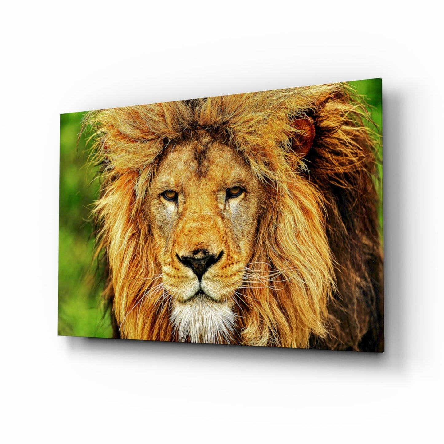 Lion Glass Wall Art